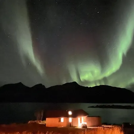 Σπίτι διακοπών Superior With Private Lofoten Gravdal (Vestvagoy)